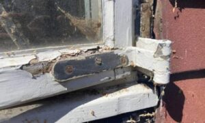 replace window and hinges